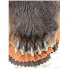 Image 12 : Big Alaskan Costal Brown Bear Rug Taxidermy