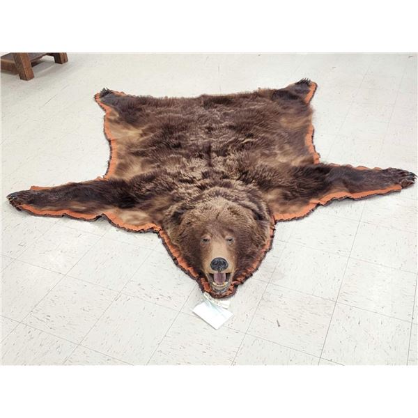 Big Alaskan Costal Brown Bear Rug Taxidermy