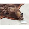 Image 3 : Big Alaskan Costal Brown Bear Rug Taxidermy