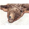 Image 4 : Big Alaskan Costal Brown Bear Rug Taxidermy