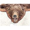 Image 5 : Big Alaskan Costal Brown Bear Rug Taxidermy