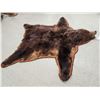 Image 6 : Big Alaskan Costal Brown Bear Rug Taxidermy