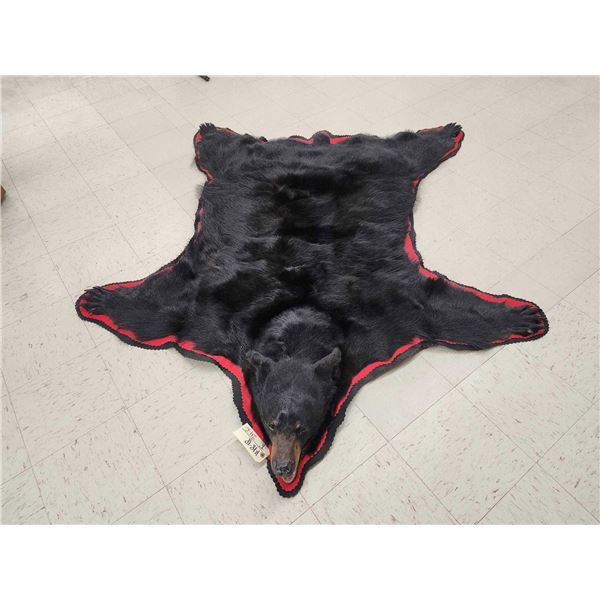 NICE Black Bear Rug Taxidermy
