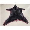 Image 3 : NICE Black Bear Rug Taxidermy
