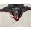 Image 6 : NICE Black Bear Rug Taxidermy