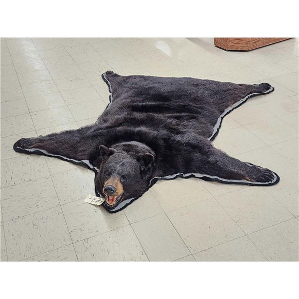 Extra Nice Black Bear Rug Taxidermy