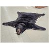 Image 1 : Extra Nice Black Bear Rug Taxidermy