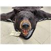 Image 2 : Extra Nice Black Bear Rug Taxidermy