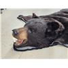 Image 3 : Extra Nice Black Bear Rug Taxidermy