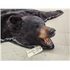 Image 4 : Extra Nice Black Bear Rug Taxidermy