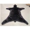 Image 6 : Extra Nice Black Bear Rug Taxidermy