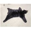 Image 7 : Extra Nice Black Bear Rug Taxidermy