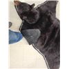 Image 8 : Extra Nice Black Bear Rug Taxidermy
