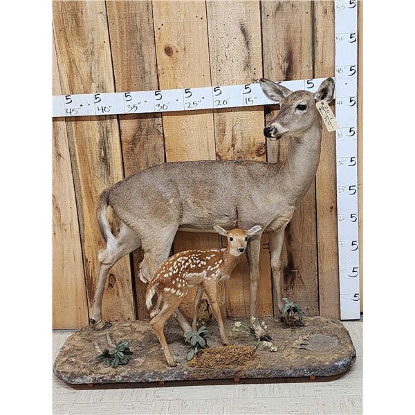 Whitetail Doe & Fawn Full Body Taxidermy Mount