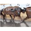 Image 10 : Authentic African Hand Carved 5 Cape Buffalo