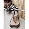Image 11 : Spectacular Zebra Full Body Taxidermy Mount