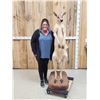 Image 1 : Super Rare Kangaroo Full Body Taxidermy Mount