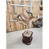 Image 6 : African Impala Full Body Taxidermy Mount
