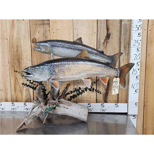 2 Lake Trout Real Skin Fish Taxidermy