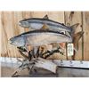 Image 5 : 2 Lake Trout Real Skin Fish Taxidermy