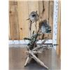 Image 6 : 2 Lake Trout Real Skin Fish Taxidermy
