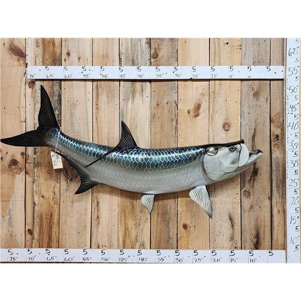 66" Tarpon Reproduction Fish Taxidermy