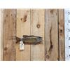 Image 1 : 16" Smallmouth Bass Real Skin Fish Taxidermy