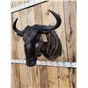 Image 3 : African Blue Wildebeest Shoulder Mount Taxidermy