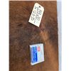Image 1 : 10 Rounds Of .45 Auto Shot Shells Ammunition
