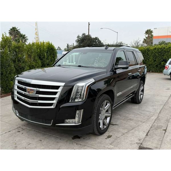 CADI ESCALADE 2016 O/S TITLE 2 DAYS