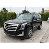 Image 1 : CADI ESCALADE 2016 O/S TITLE 2 DAYS