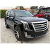 Image 2 : CADI ESCALADE 2016 O/S TITLE 2 DAYS