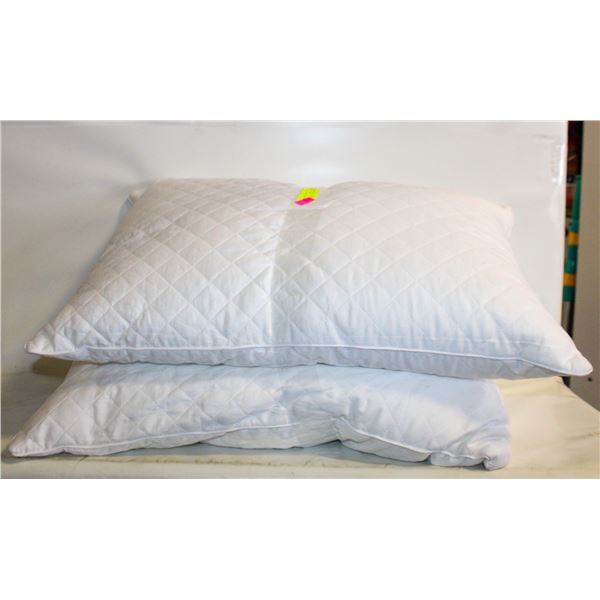 2PK BEAUTYREST CICLO PILLOWS