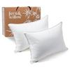 Image 1 : NEW+BOX FERN & WILLOW HYPOALLERGENIC QUEEN PILLOW