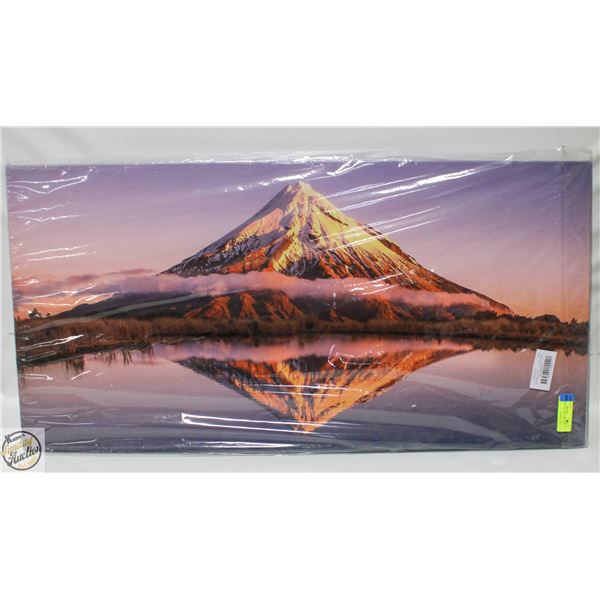 NEW LANDSCAPE WALL ART 20 X 40"