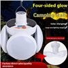 Image 1 : RECHARGEABLE SOLAR CHARGING SOCCER LIGHT BULB