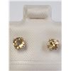 Image 1 : SILVER CITRINE(0.5CT) EARRINGS, MADE IN CANADA