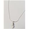 Image 1 : SILVER SHOE 16" NECKLACE