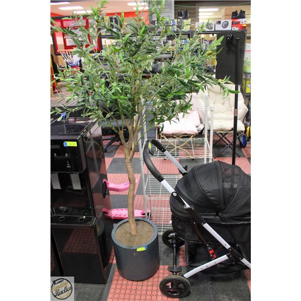 NEW 6.5FT OLIVE TREE