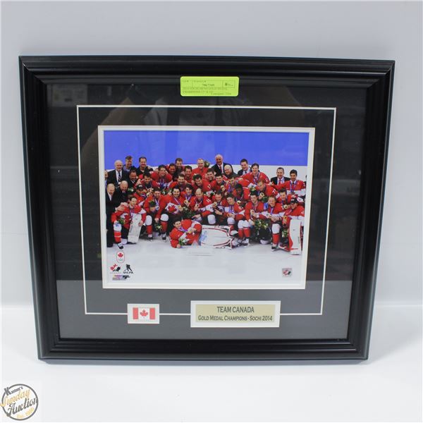 2014 SOCHI MENS GOLD MEDAL CHAMPIONS 17" X 15"