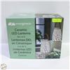 Image 1 : EVERGREEN CERAMIC LED LANTERNS SET OF 2