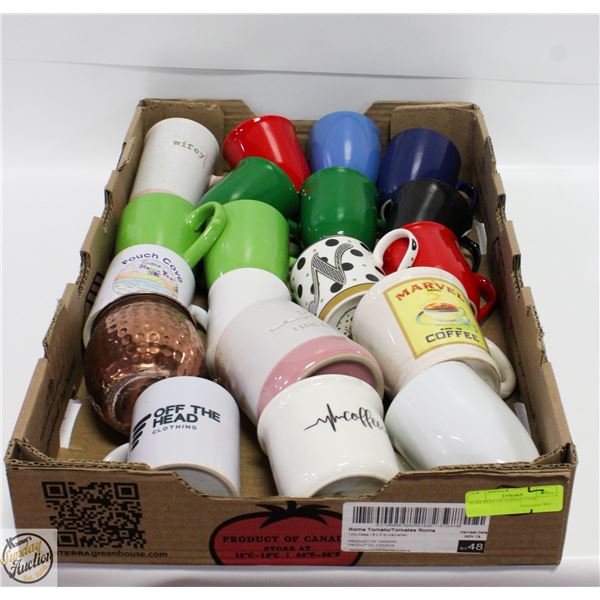 FLAT FULL OF COFFEE CUPS