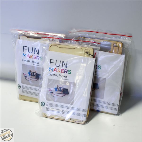 3 X OPTICIAL ILLUSIONS WOODEN MODEL KITS