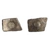 Image 1 : Archaic Coinage: Punch Marked,  Shakya Janapada, Silver 5 Shana