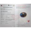 Image 3 : 8.81 ct Certified Black Opal gemstone ($6,607 Appraisal)