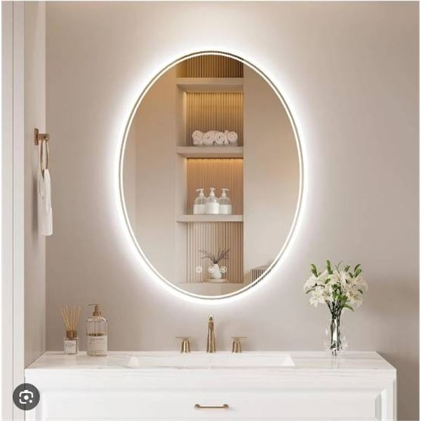 OUMUSU 24 x 32 Inch LED Bathroom Mirror with High-Definition Glass