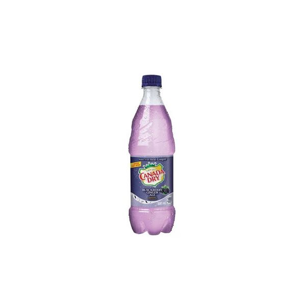 Canada Dry Blackberry 24 x 500mL Bottles
