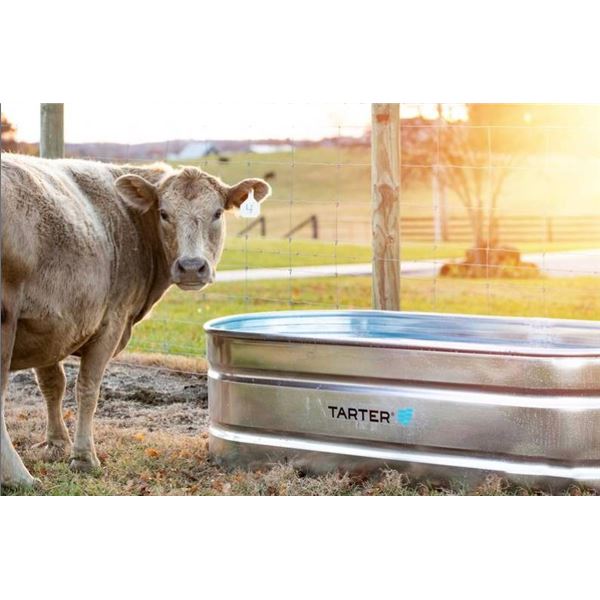 Tarter Oval Mega 300 Gal Galvanized Steel Water Tank