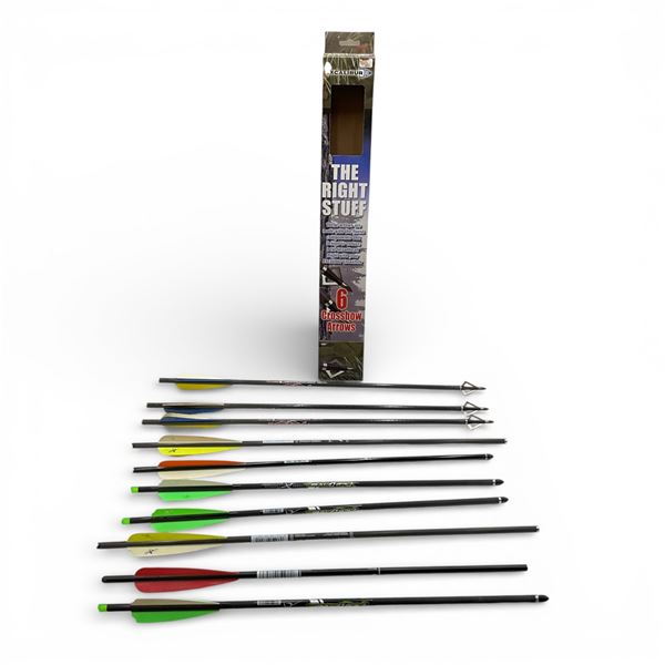 Assorted Crossbow Bolts X 10