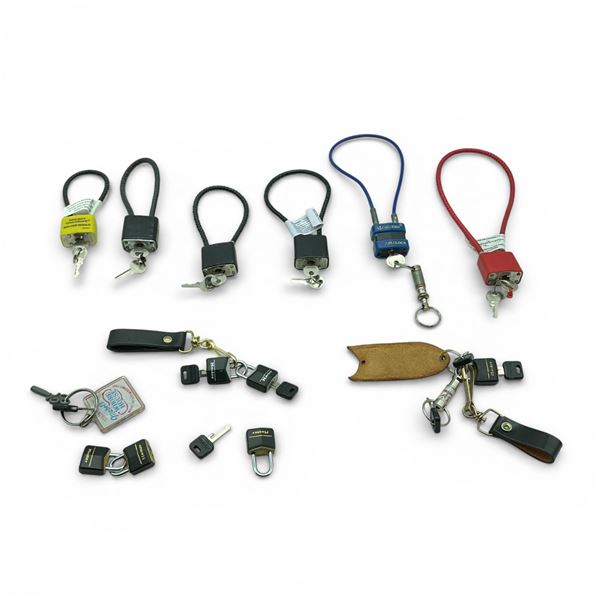 Assorted Keyed Locks X 12 Qty